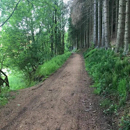 Fewo Usseln Mitte - Deutsches Haus * Willingen (Upland)