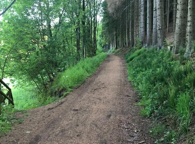 Fewo Usseln Mitte - Deutsches Haus * Willingen (Upland)